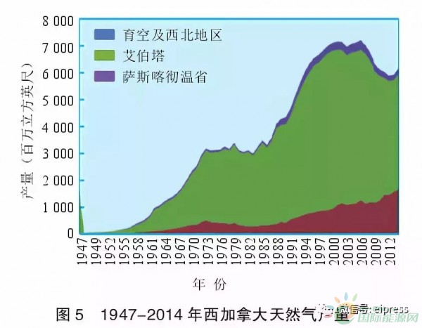 5.webp